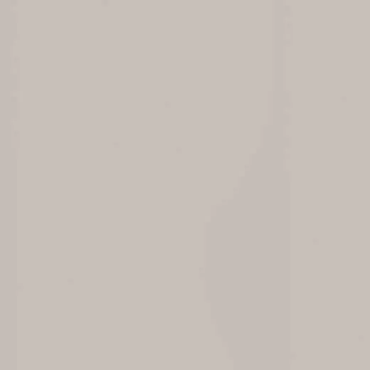 Gris coco 15 Gris coco Actiu