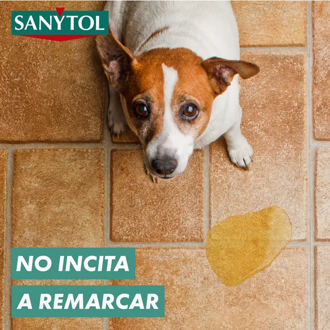 Evita el remarcaje Neutraliza olores y desinfecta sin activar marcaje. Perfecto para limpiar zonas donde orinan perros o gatos sin provocar reincidencia.
