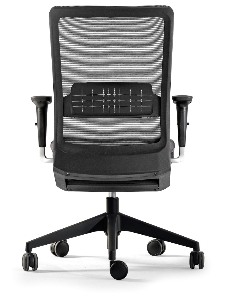 Silla Winner 30 con refuerzo lumbar