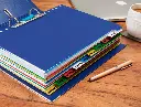 Separadores de plástico de colores 5 hojas 1/4 Liderpapel