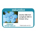 Etiqueta del rollo de film para laminar Premium Offset Brillo 24 µ 635 mm x 250 m