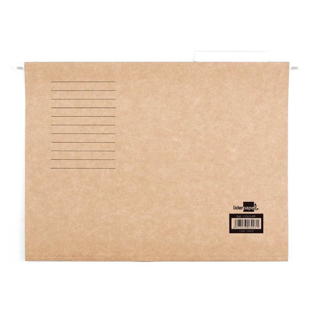 Carpeta colgante bicolor Folio con visor superior cristal Liderpapel (Paquete 10 unidades)