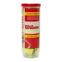 Pelotas tenis Wilson Championship Extra Duty tubo 3 unidades Talla 3