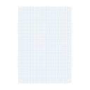 Papel cuadernillo cuadriculado 4 mm Folio (10 hojas)