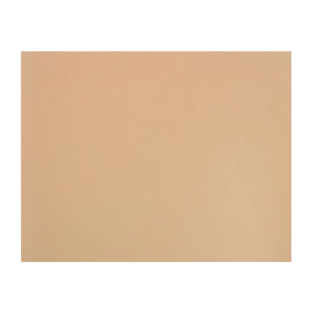Cartulina 50 x 65 cm texturada para dibujo Tierra de Siena 160 g/m² Canson Mi-Teintes (Pack 25 unidades)