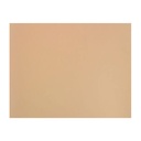 Cartulina 50 x 65 cm texturada para dibujo Tierra de Siena 160 g/m² Canson Mi-Teintes (Pack 25 unidades)