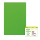 Lámina de goma EVA 40 x 60 cm 5 mm verde claro Fixo Kids