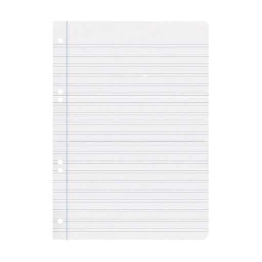 Recambio para 4 anillas 1/4 pautado (100 hojas)