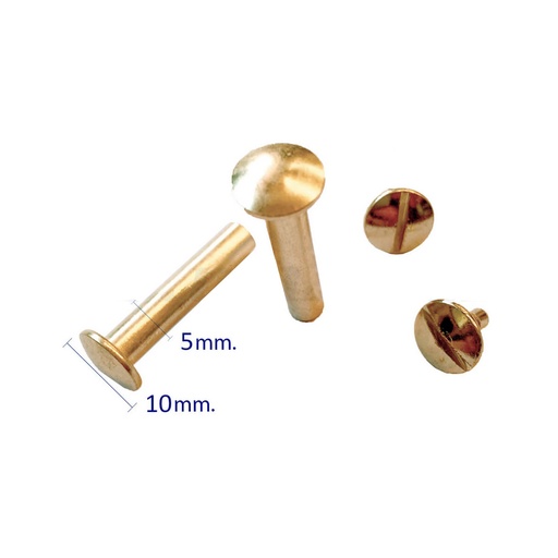 Tornillos para encuadernar de 40 mm bronce (Pack 40 unidades)