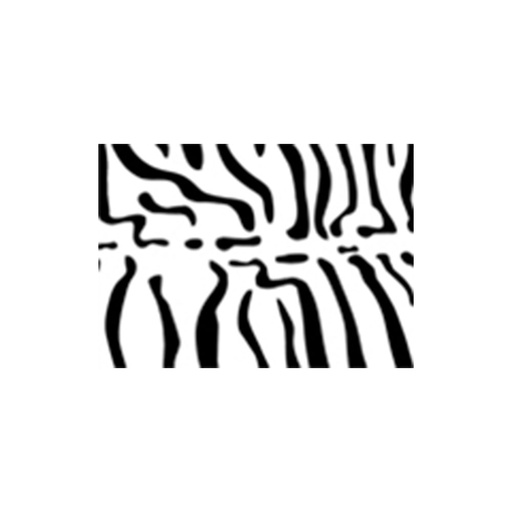 Bolsa de disfraz 55 x 70 estampado cebra a una cara